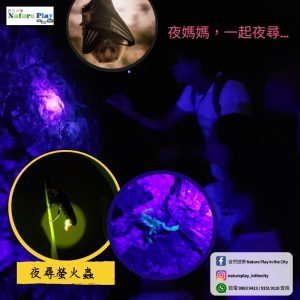 夜尋螢火蟲