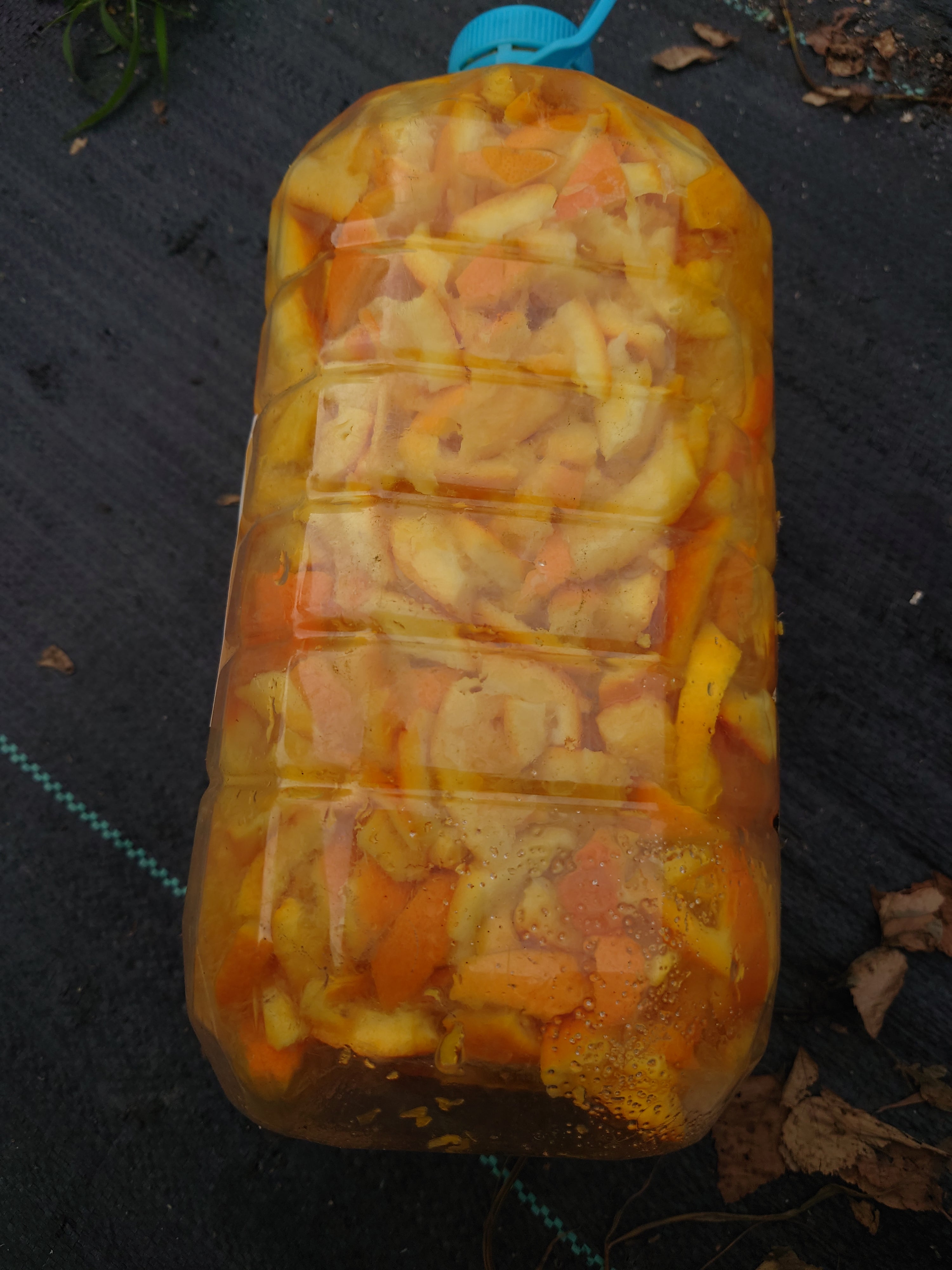 農場製作香橙果醬