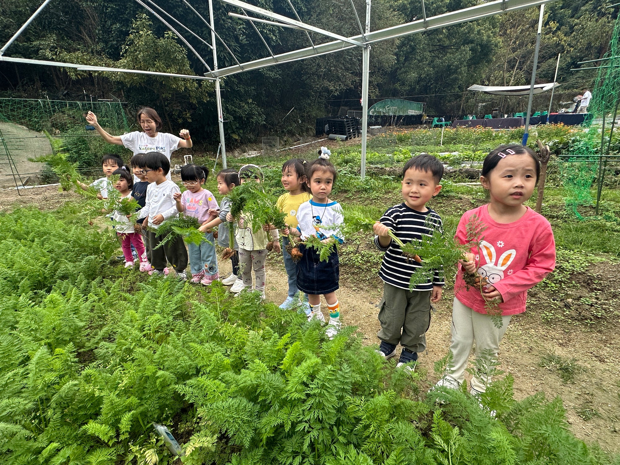 做個小農夫 3-6歲 11-12月 (10 小時)