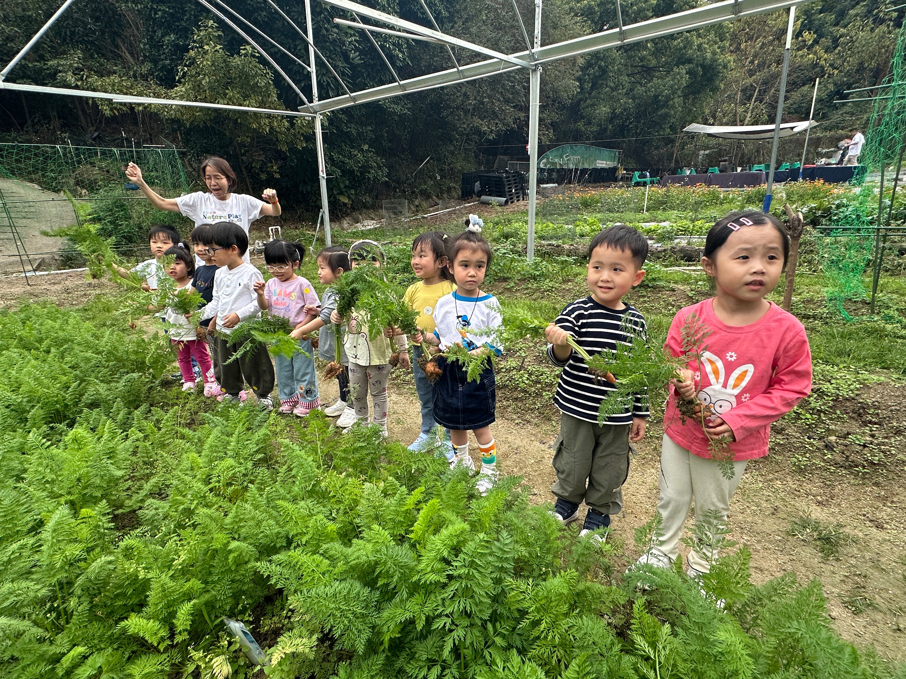 做個小農夫 3-6歲 11-12月 (10 小時)