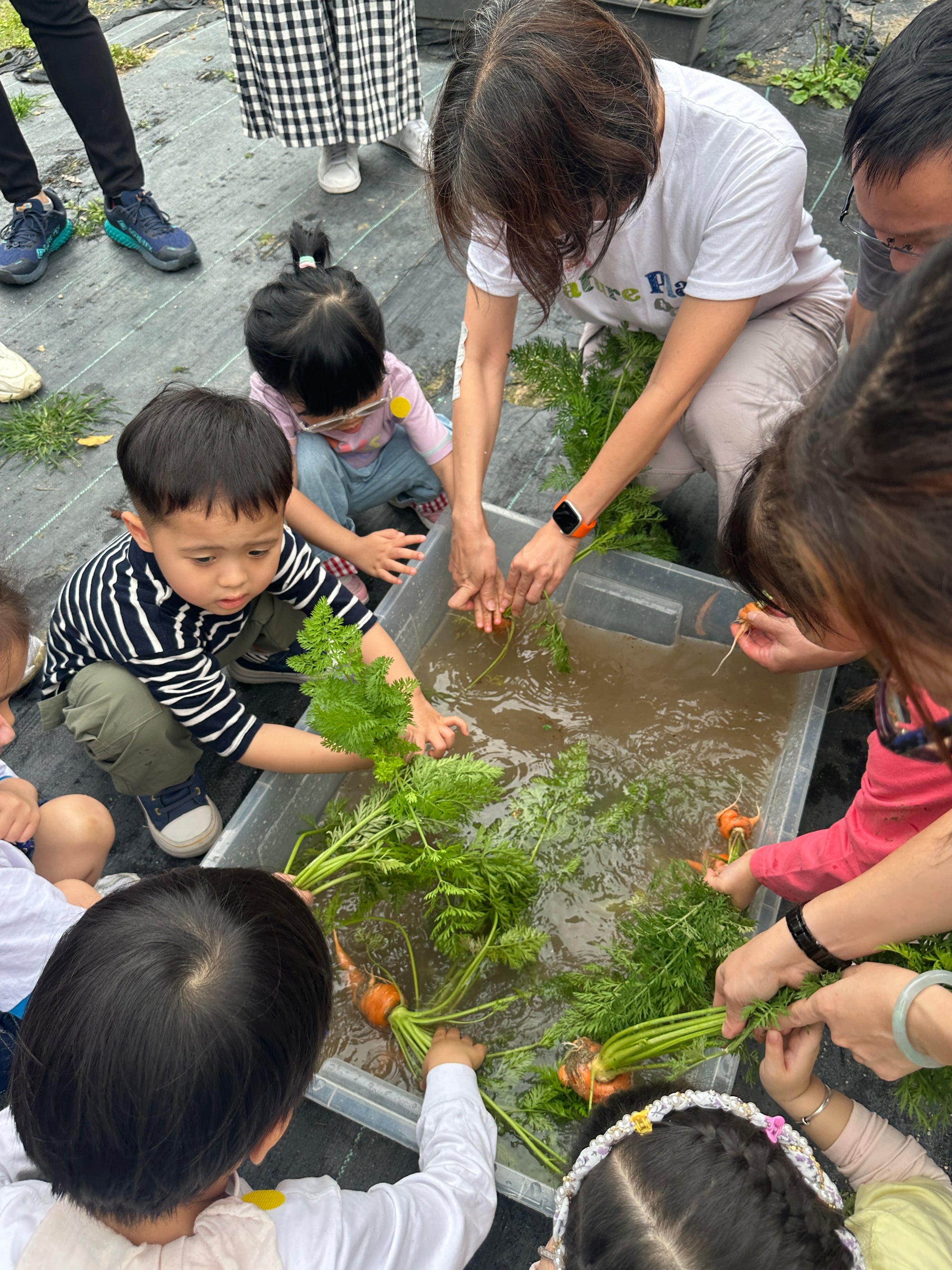 做個小農夫 3-6歲 11-12月 (10 小時)