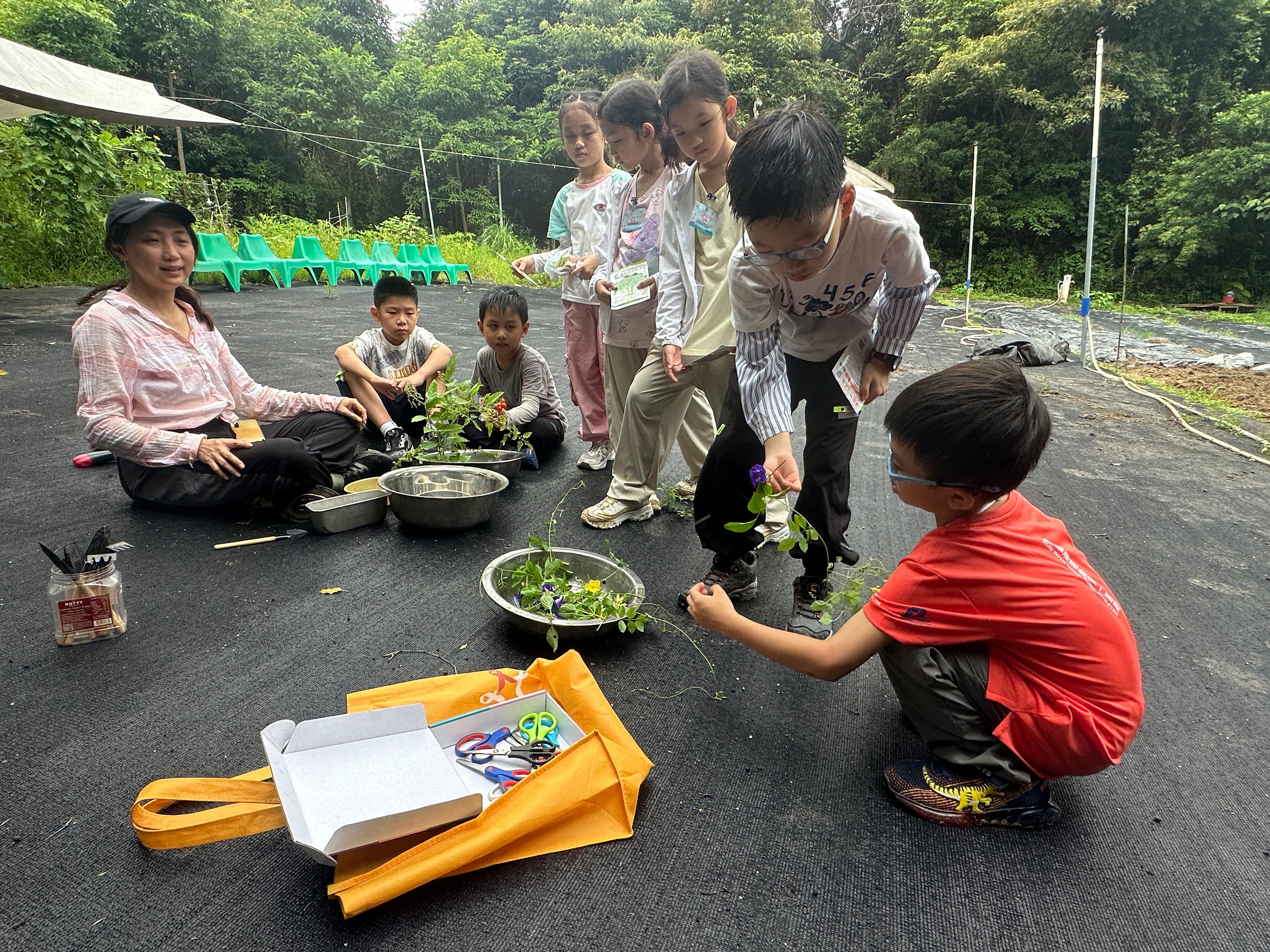 做個小農夫 (18 小時) - Nature Play in the City 