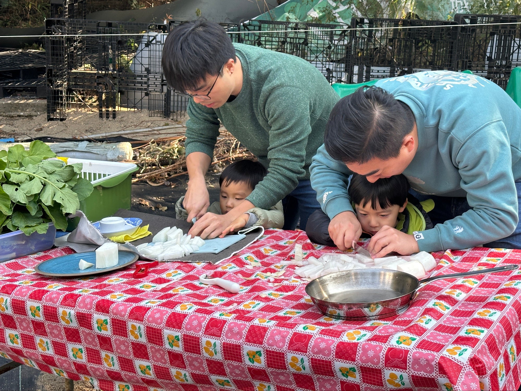 春節 Farm to Table 白蘿蔔 - Nature Play in the City 
