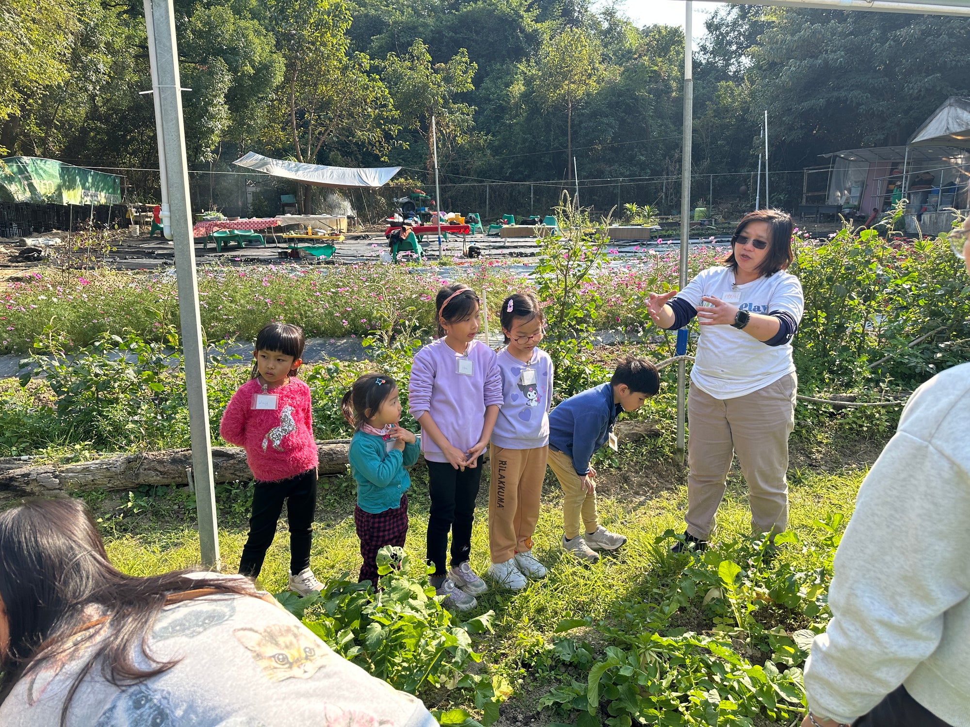 春節 Farm to Table 白蘿蔔 - Nature Play in the City 