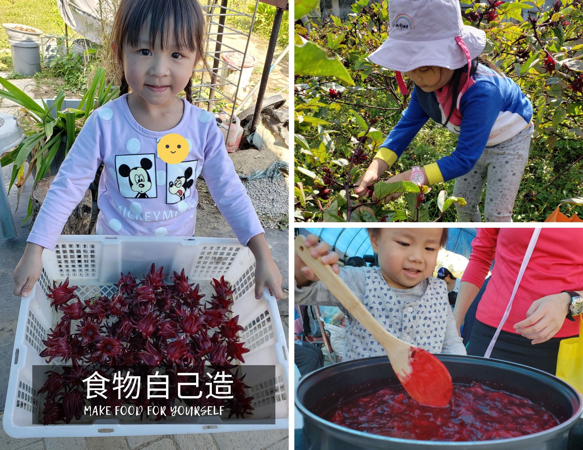 冬日 FARM TO TABLE 洛神花果醬