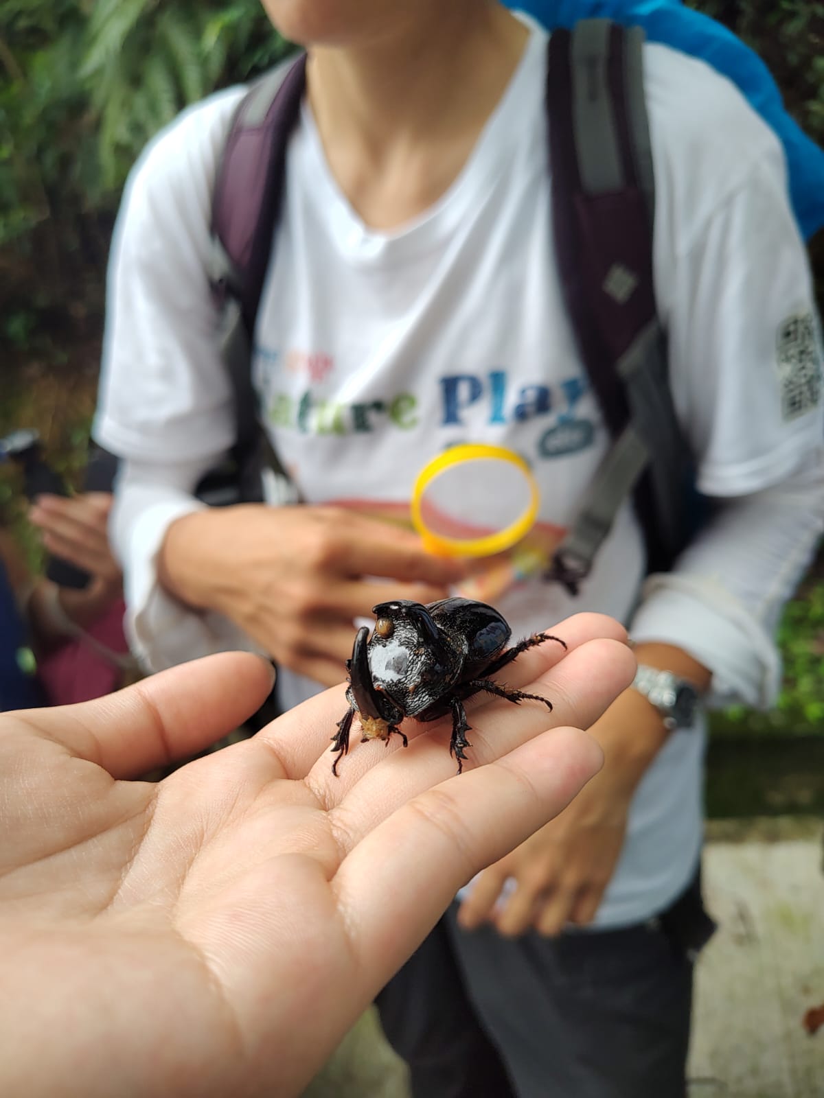小昆蟲大世界
