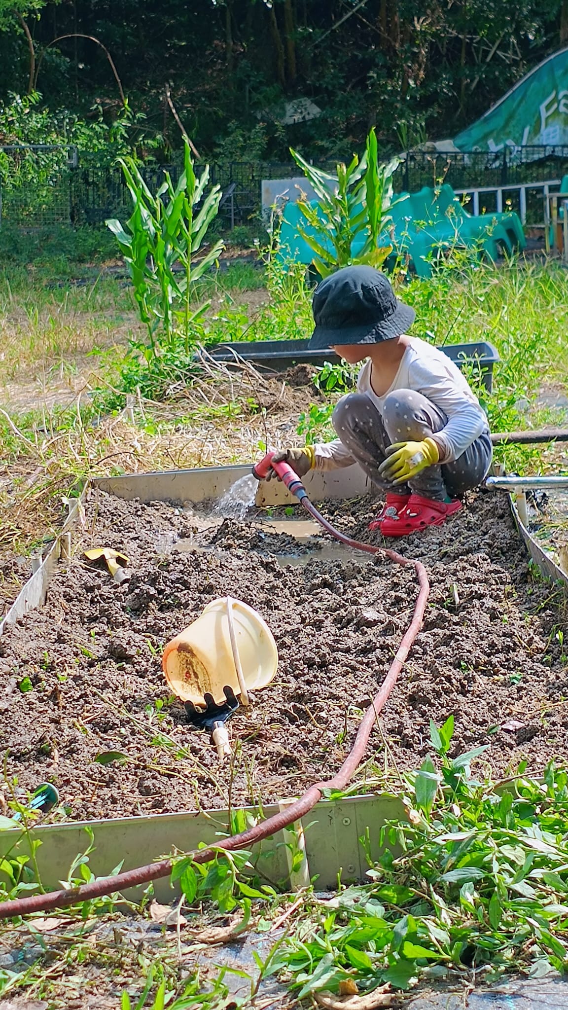 做個小農夫 3 至 6歲兒童 (10 小時)