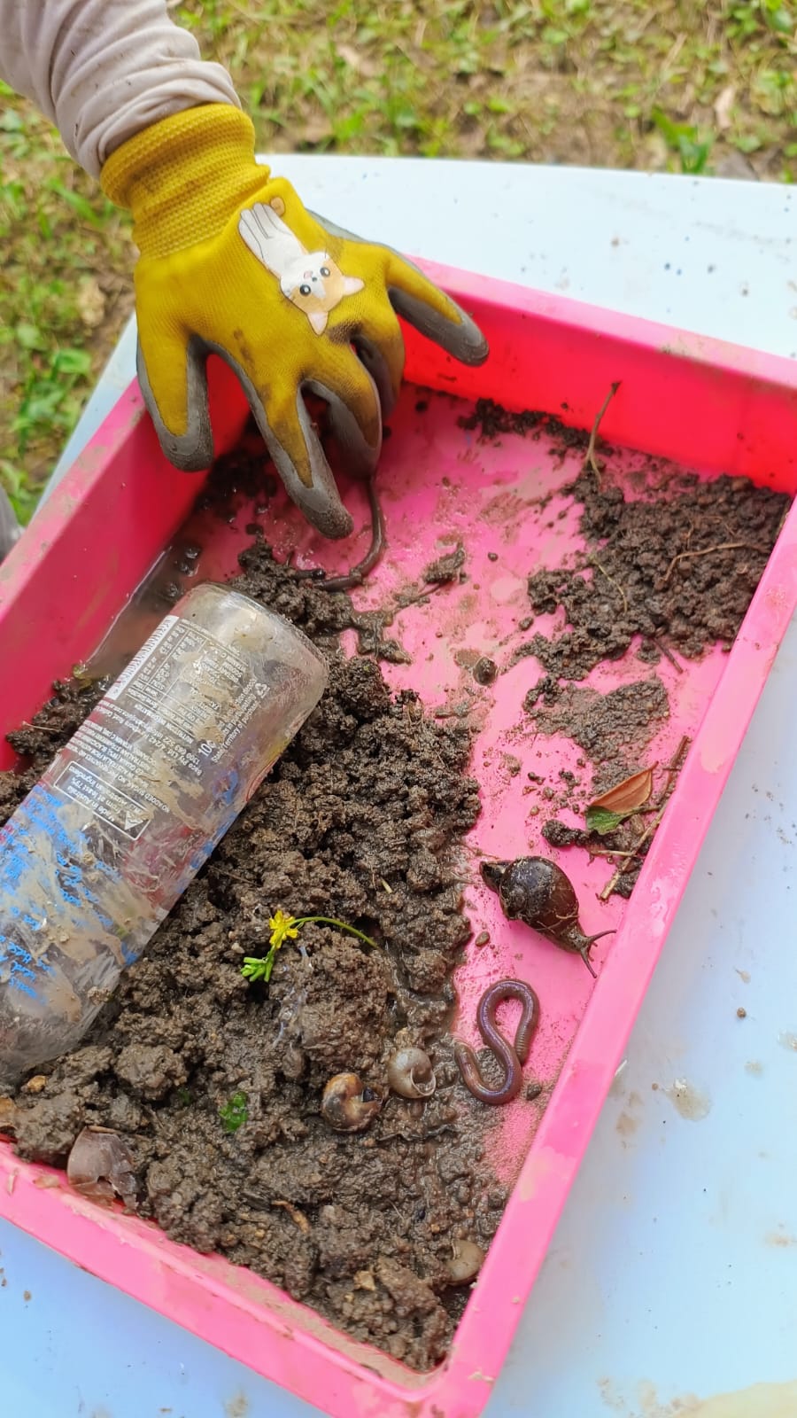 做個小農夫 3 至 6歲兒童 (10 小時)